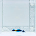 Yellow Patch Cleaner Wrasse