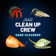 Clean Up Crew Invertebrate Pack – Sand Cleaners