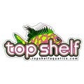 Borbonius (Blotched) Anthias Sticker 4″ × 3″