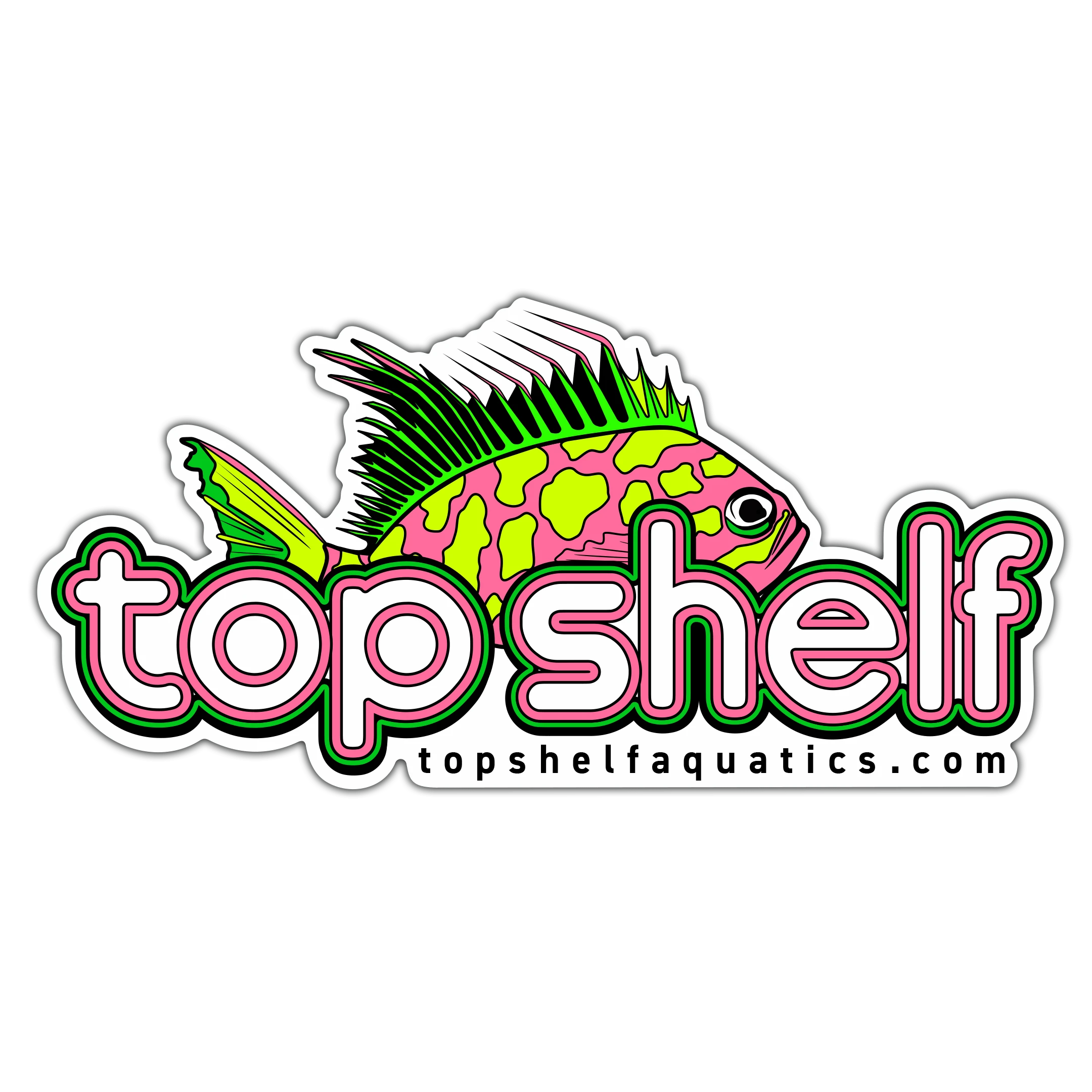 Borbonius (Blotched) Anthias Sticker 4″ × 3″