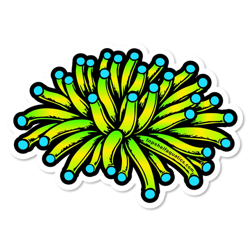 Holy Grail Torch Coral Sticker 2.75" x 2.75"