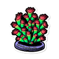 TSA Forbidden Fruit Acropora Sticker 2.75" x 2.75"