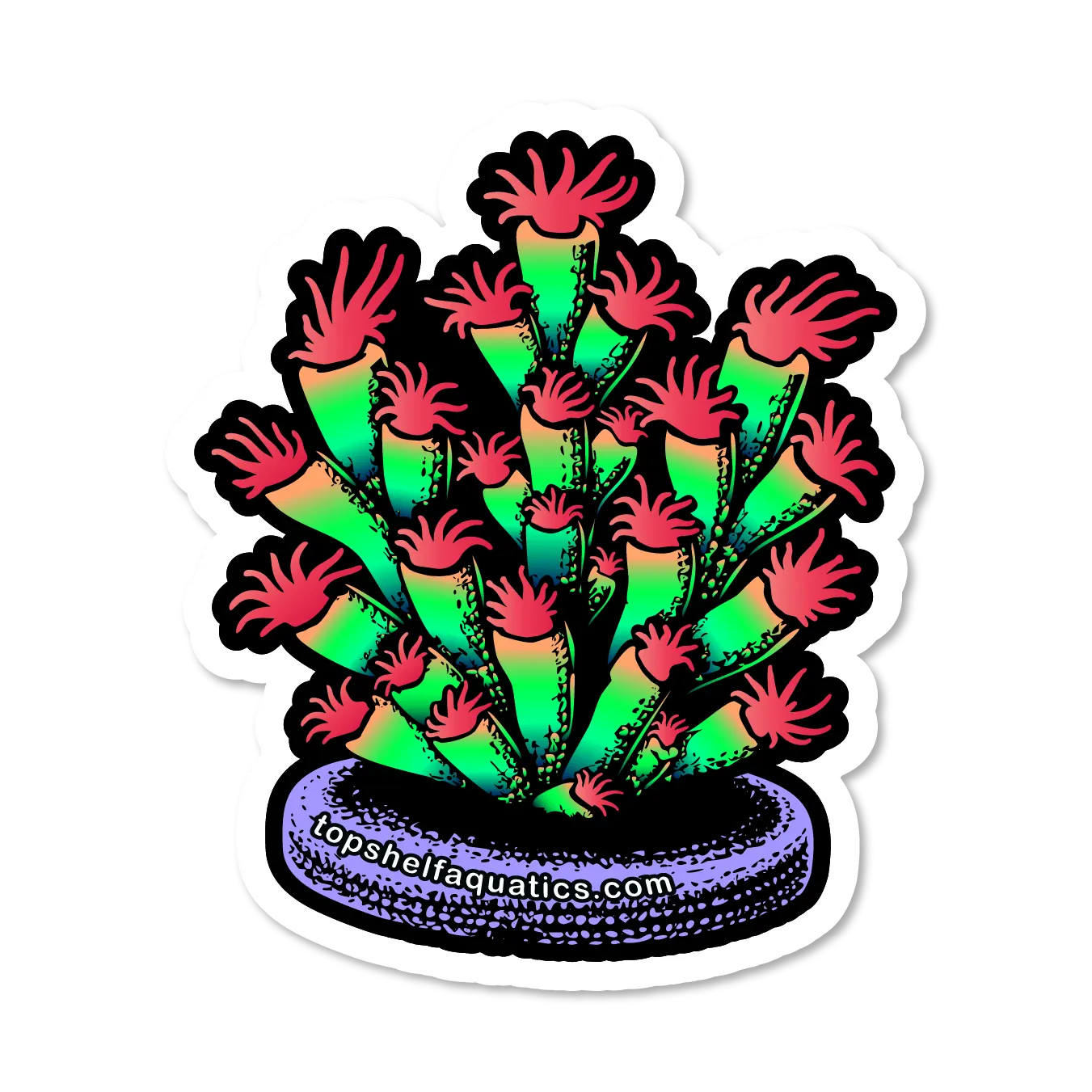 TSA Forbidden Fruit Acropora Sticker 2.75" x 2.75"