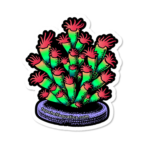 TSA Forbidden Fruit Acropora Sticker 2.75" x 2.75"