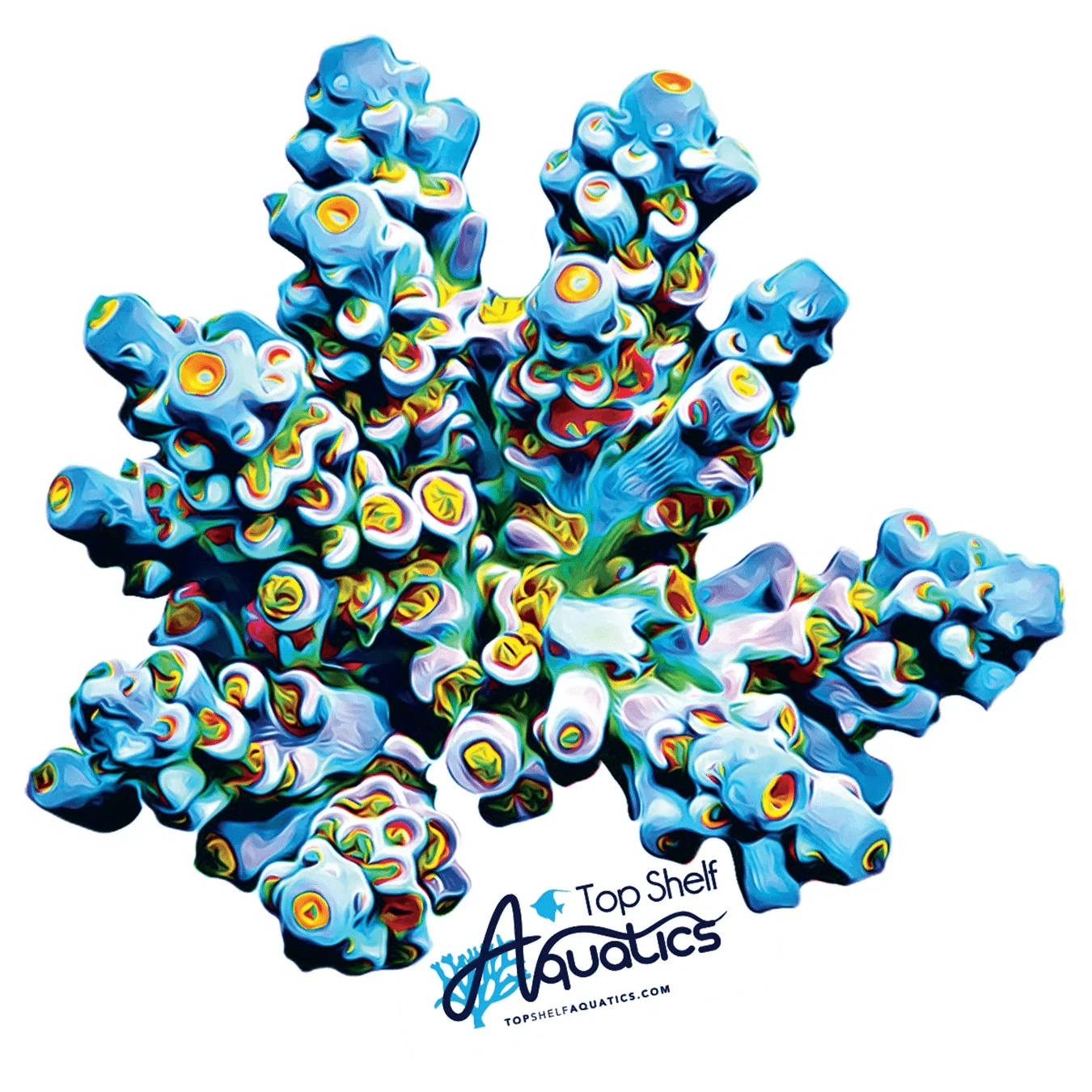 TSA Sunday Driver Acropora Sticker 3.5″ × 3.5″