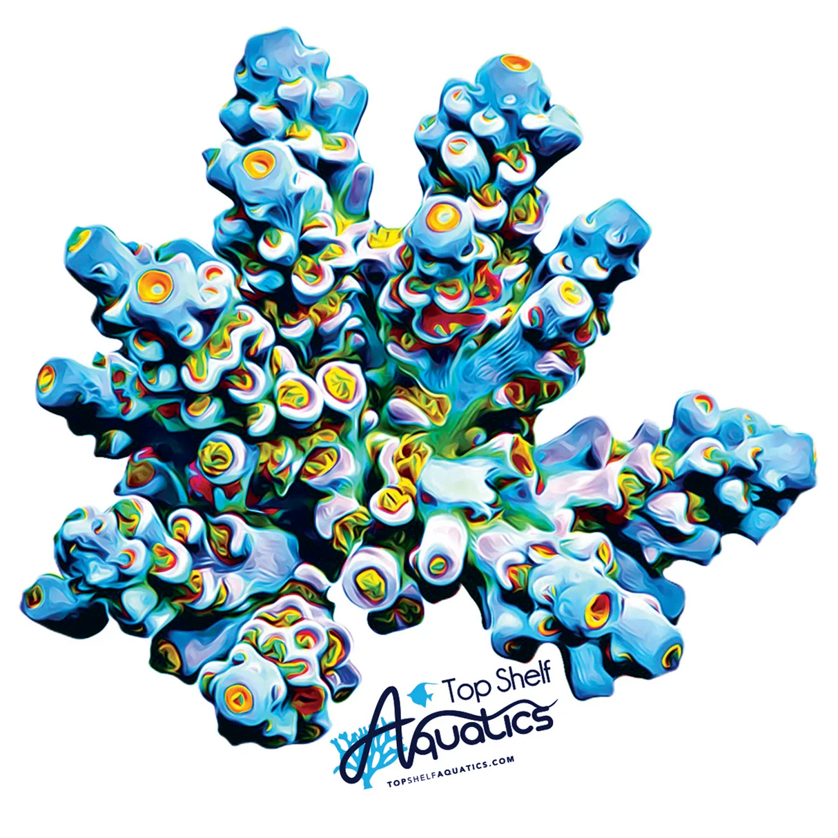 TSA Sunday Driver Acropora Sticker - Top Shelf Aquatics