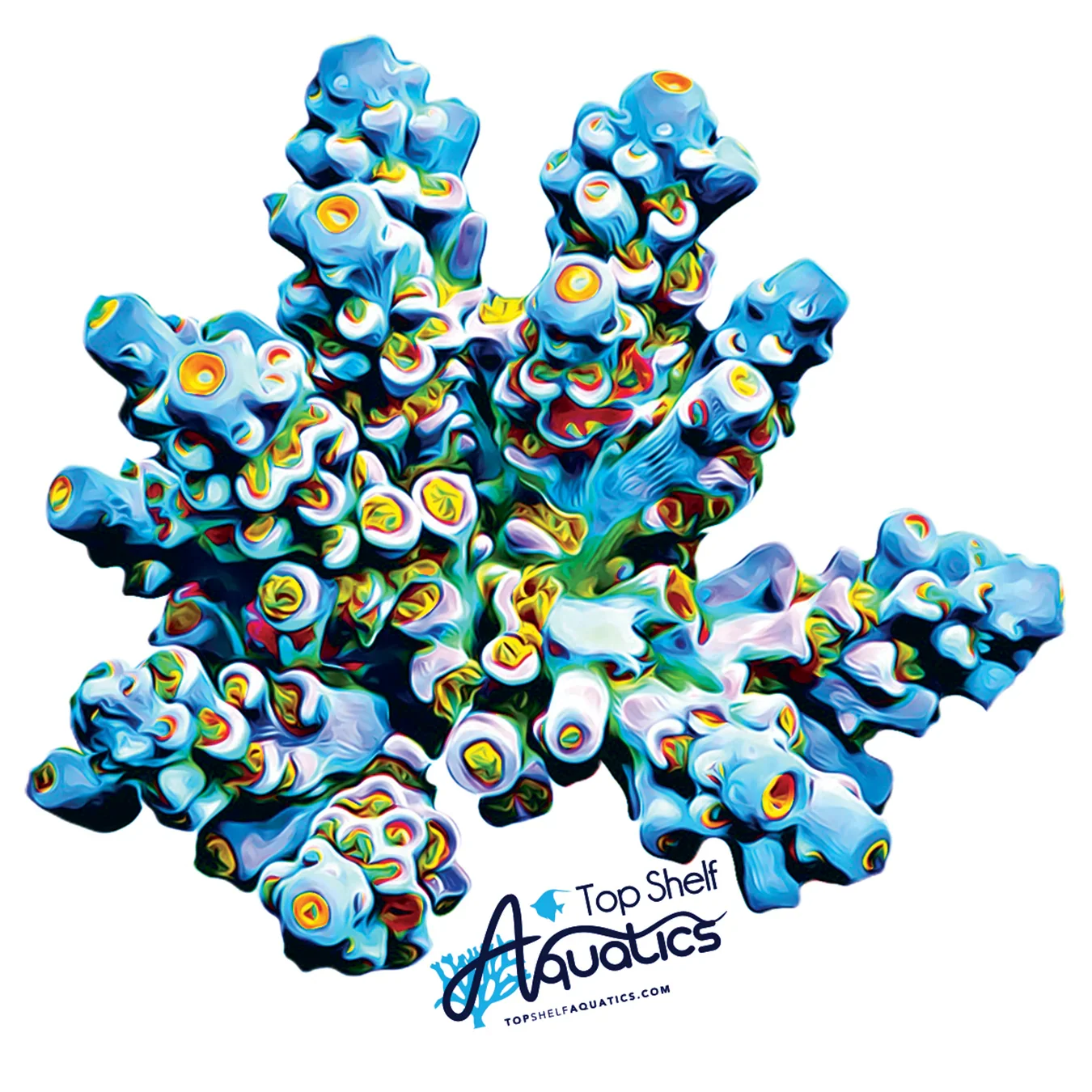 TSA Sunday Driver Acropora Sticker - Top Shelf Aquatics