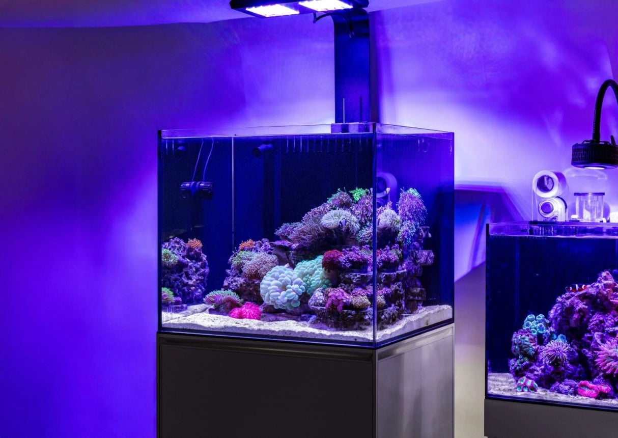 Reef System R60 - UNS