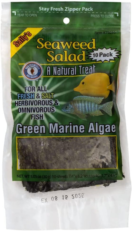 Seaweed Salad Green Marine Algae - San Francisco Bay - San Francisco Bay